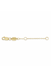 2" Necklace Extender - Gold | enewton enewton