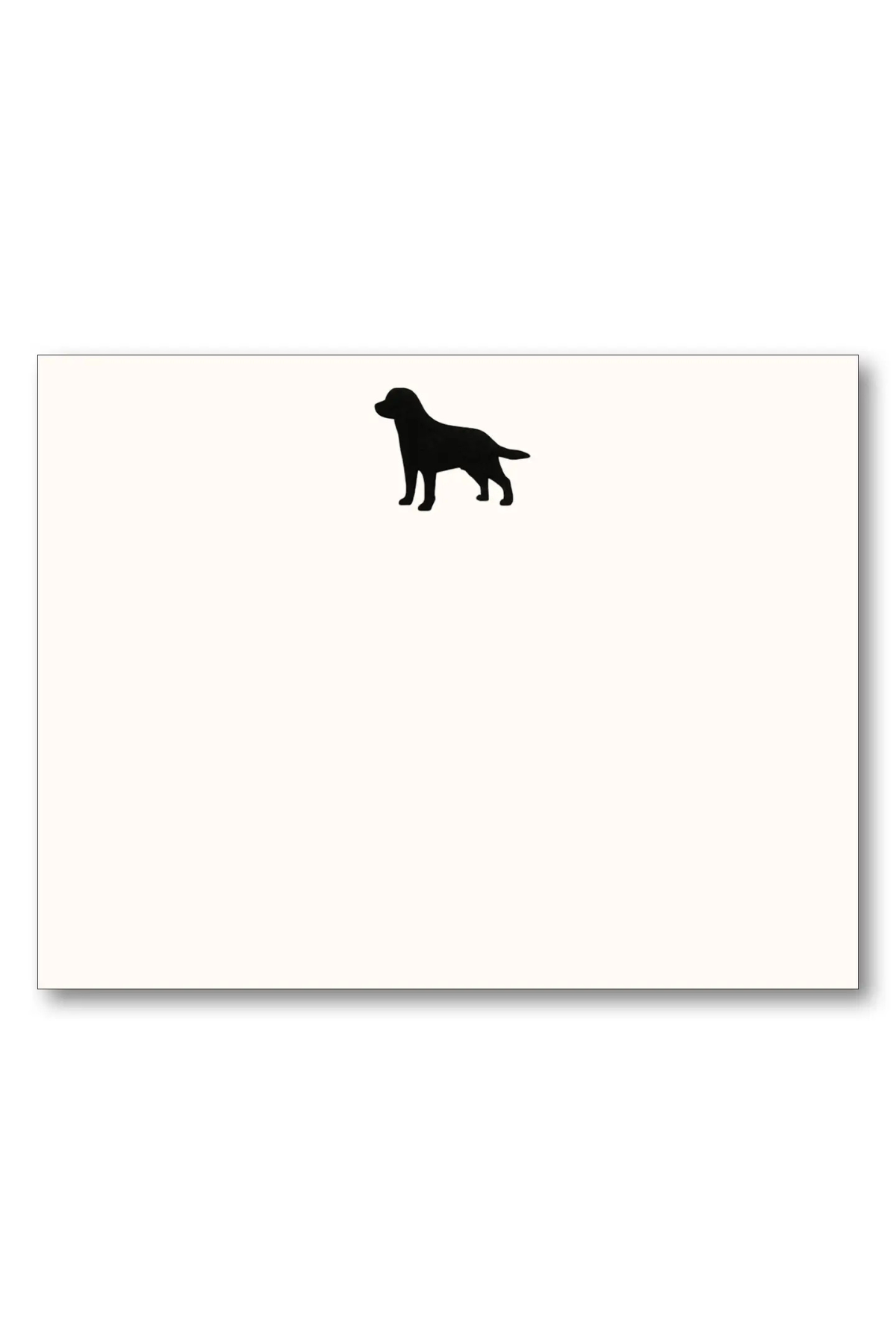 Black Lab Card Set Maison de Papier