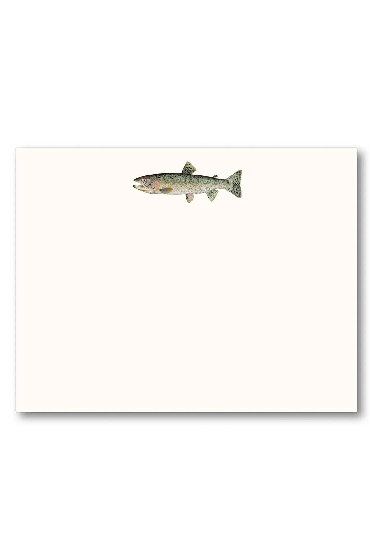 Trout Card Set Maison de Papier