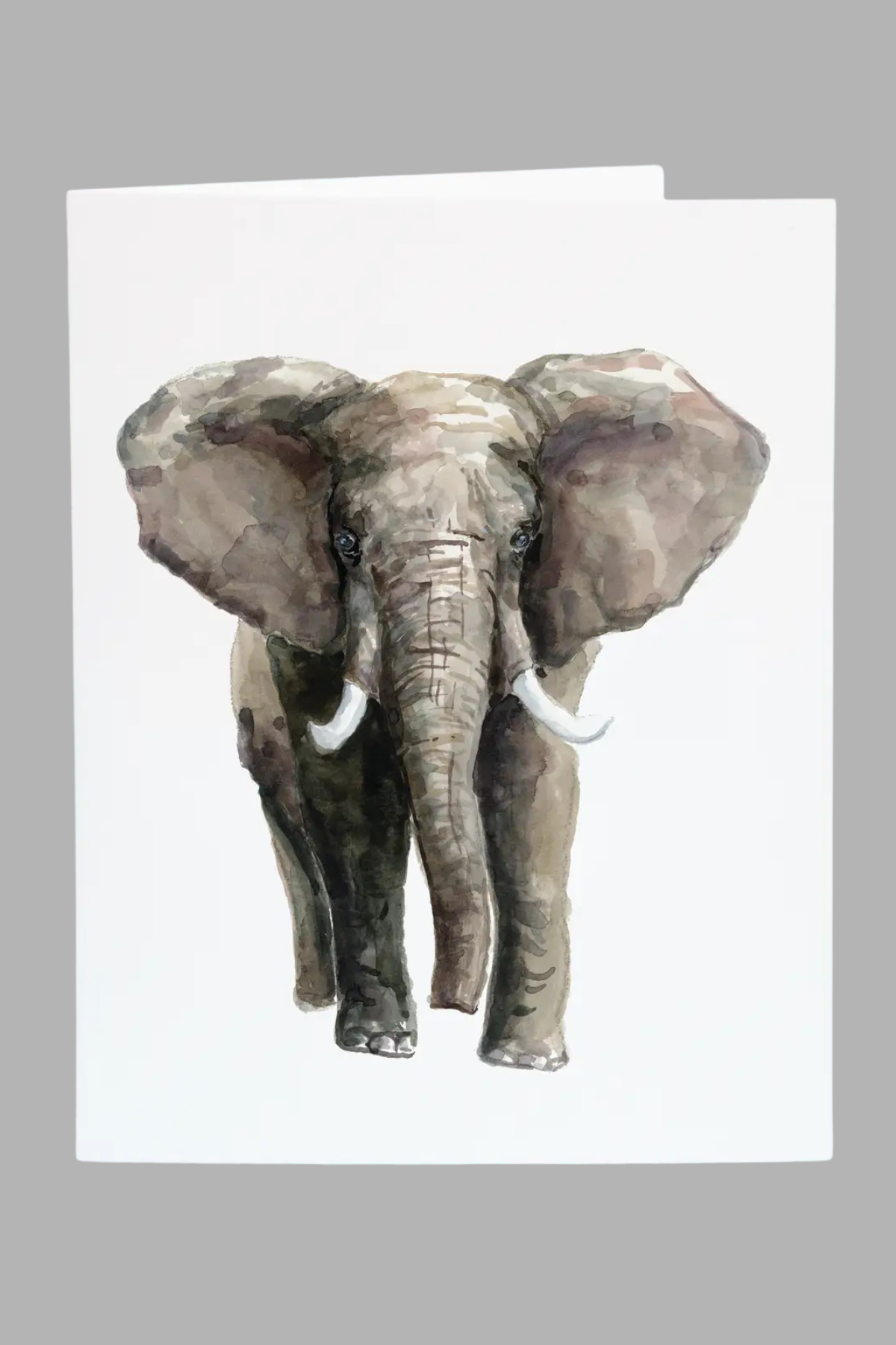 Elephant Folded Card Set Taylor Paladino