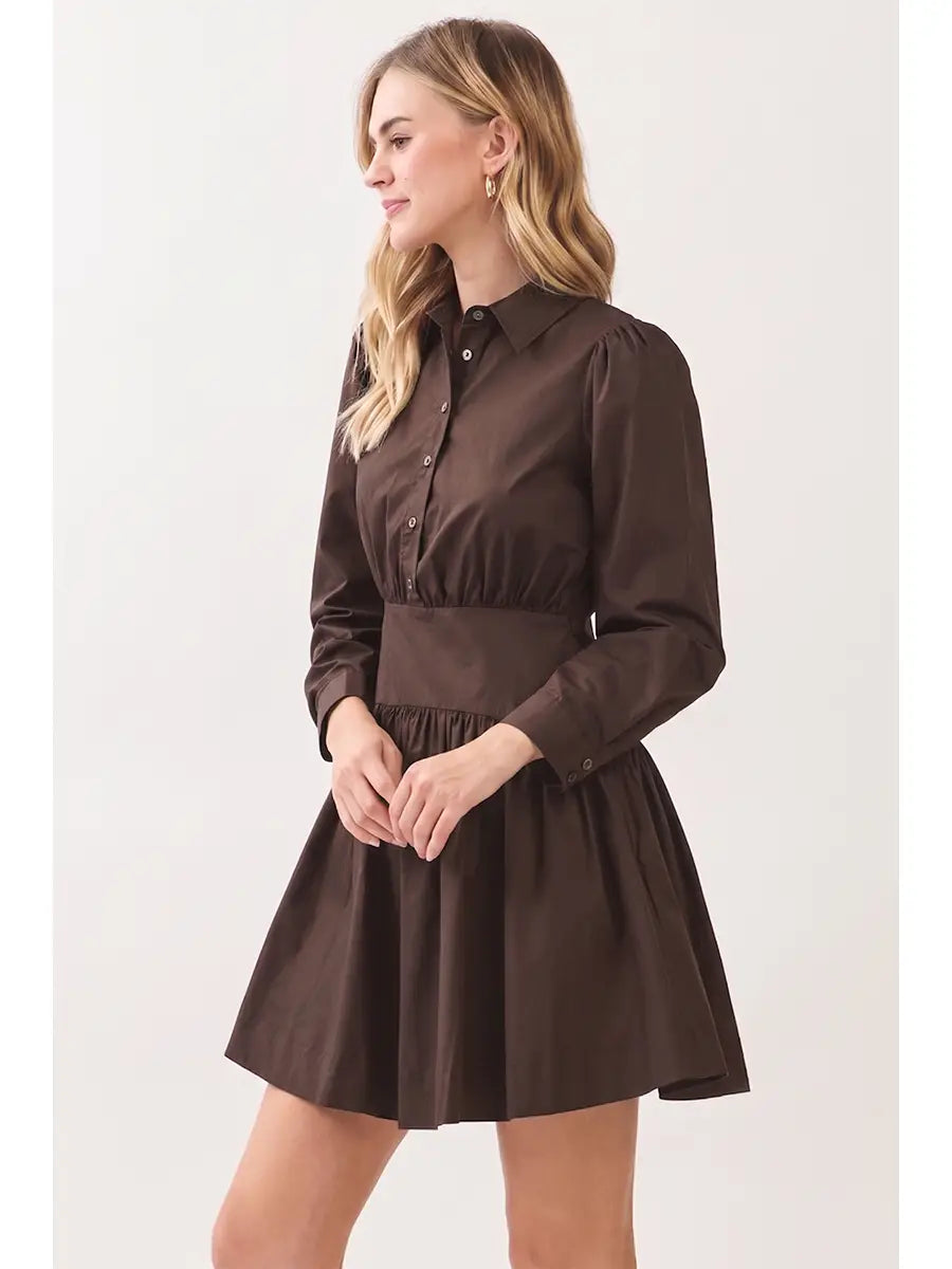 Button Down Shirt Mini Dress Pinch