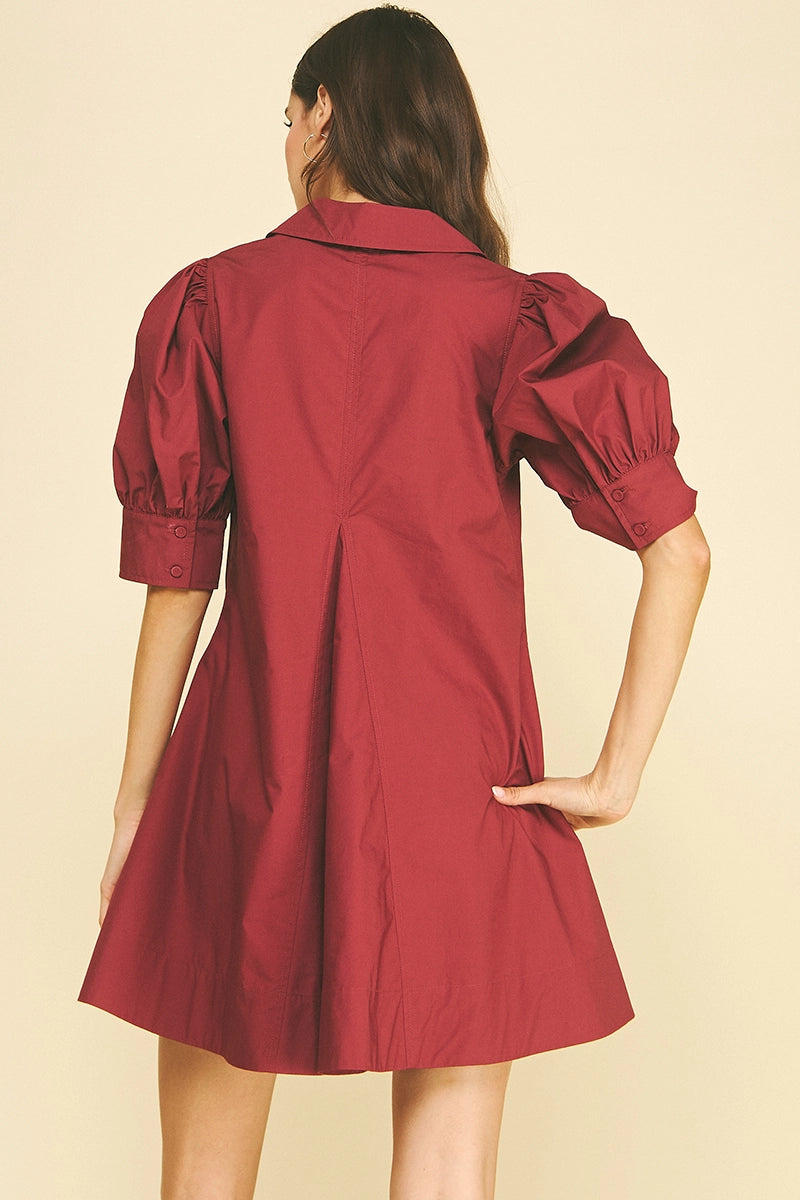 Puff Sleeve V-Neck Mini Dress Pinch
