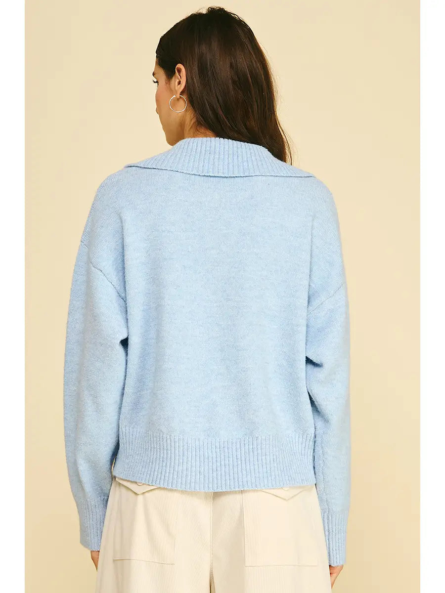 Collared Button Down Sweater Pinch