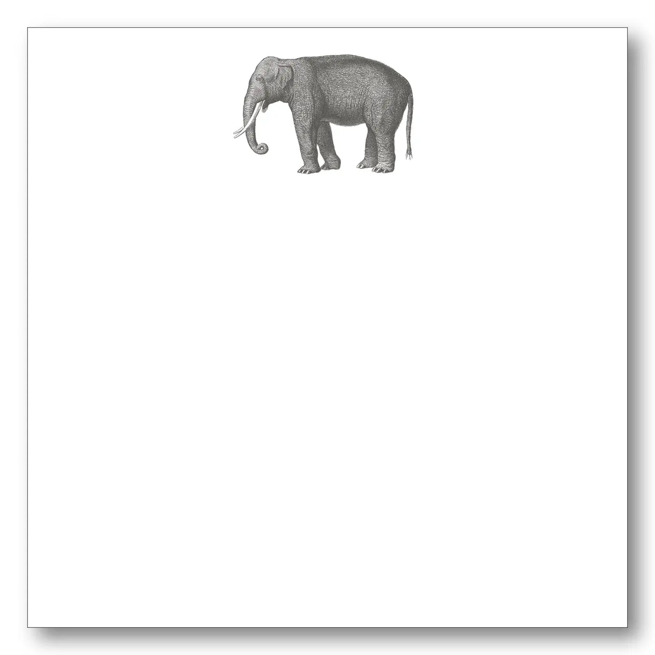 Elephant Notepad