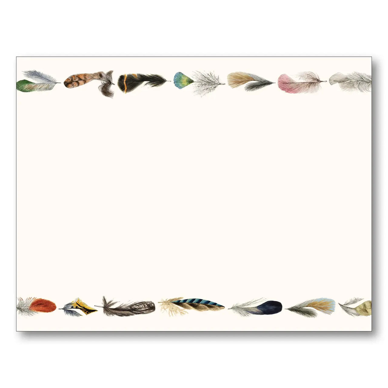 Feather Border Note Card