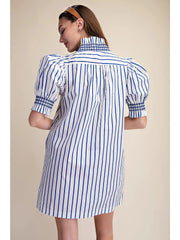 Ruffle V-Neck Smocked Puff Sleeve Stripe Mini Dress Glam