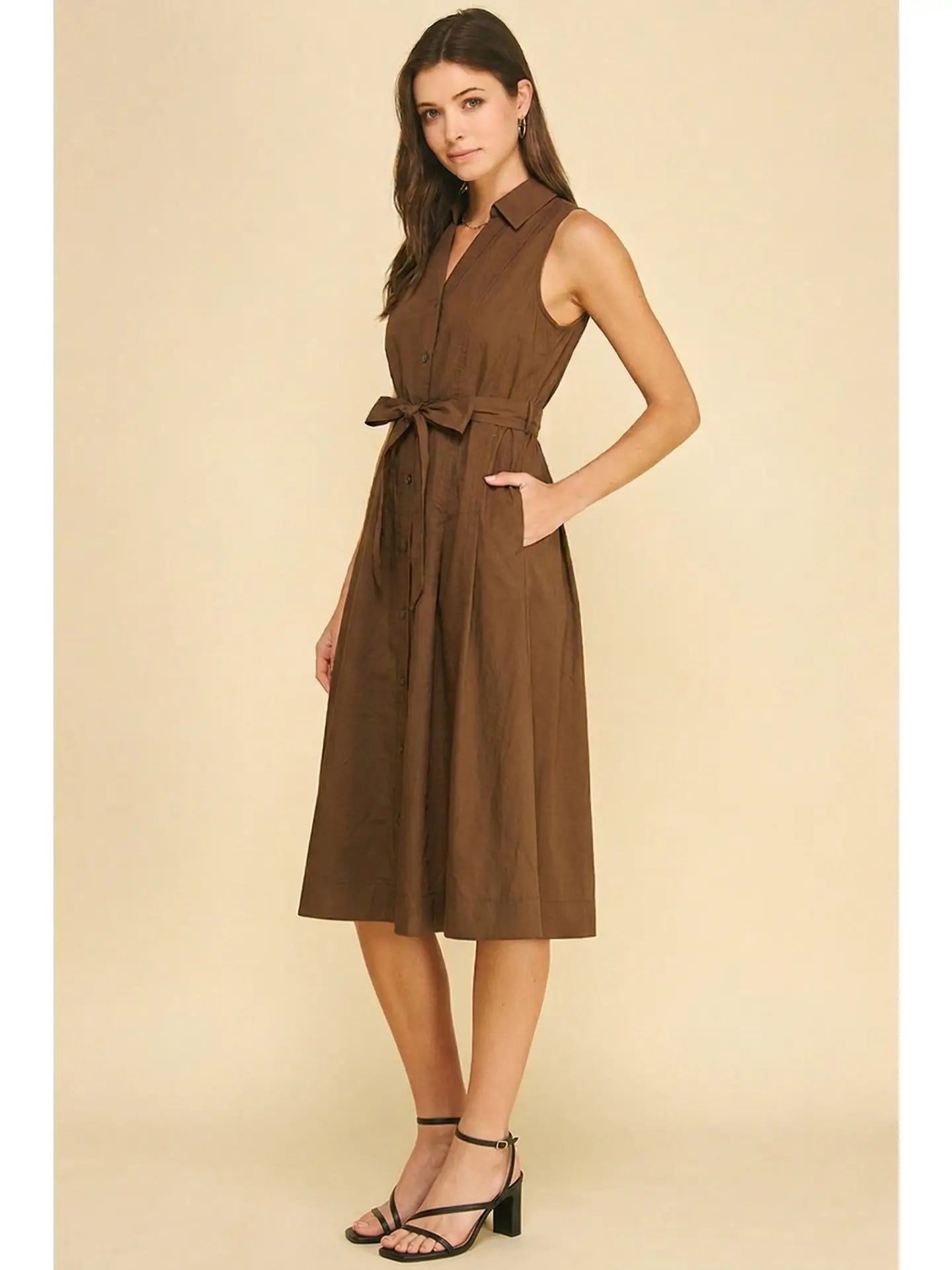 Sleeveless A-Line Shirt Dress Pinch