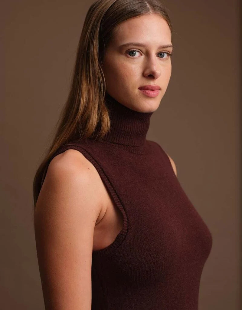 Richard Turtleneck Knit Dress Deluc