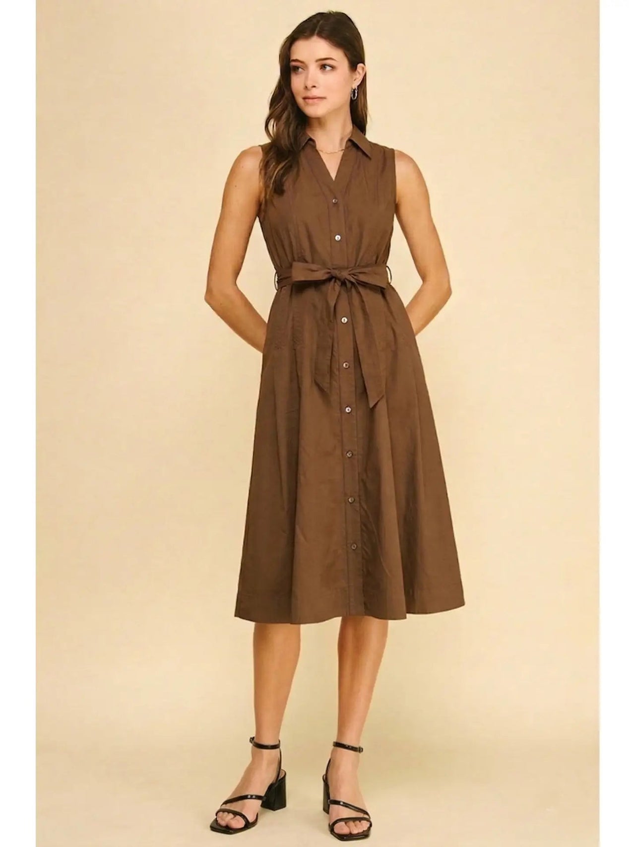 Sleeveless A-Line Shirt Dress Pinch