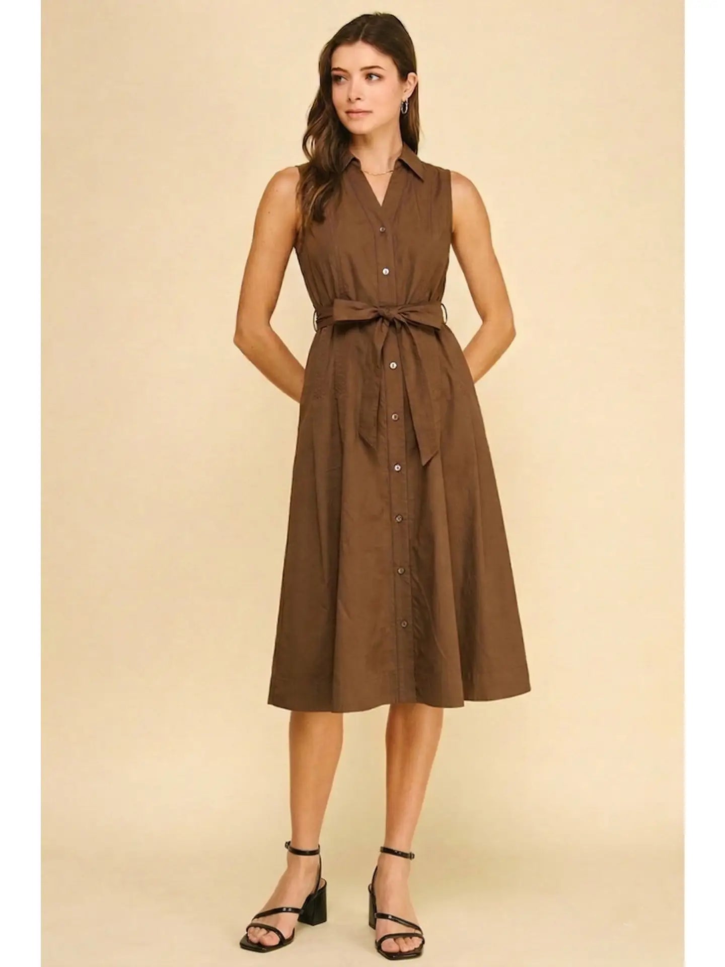 Sleeveless A-Line Shirt Dress Pinch