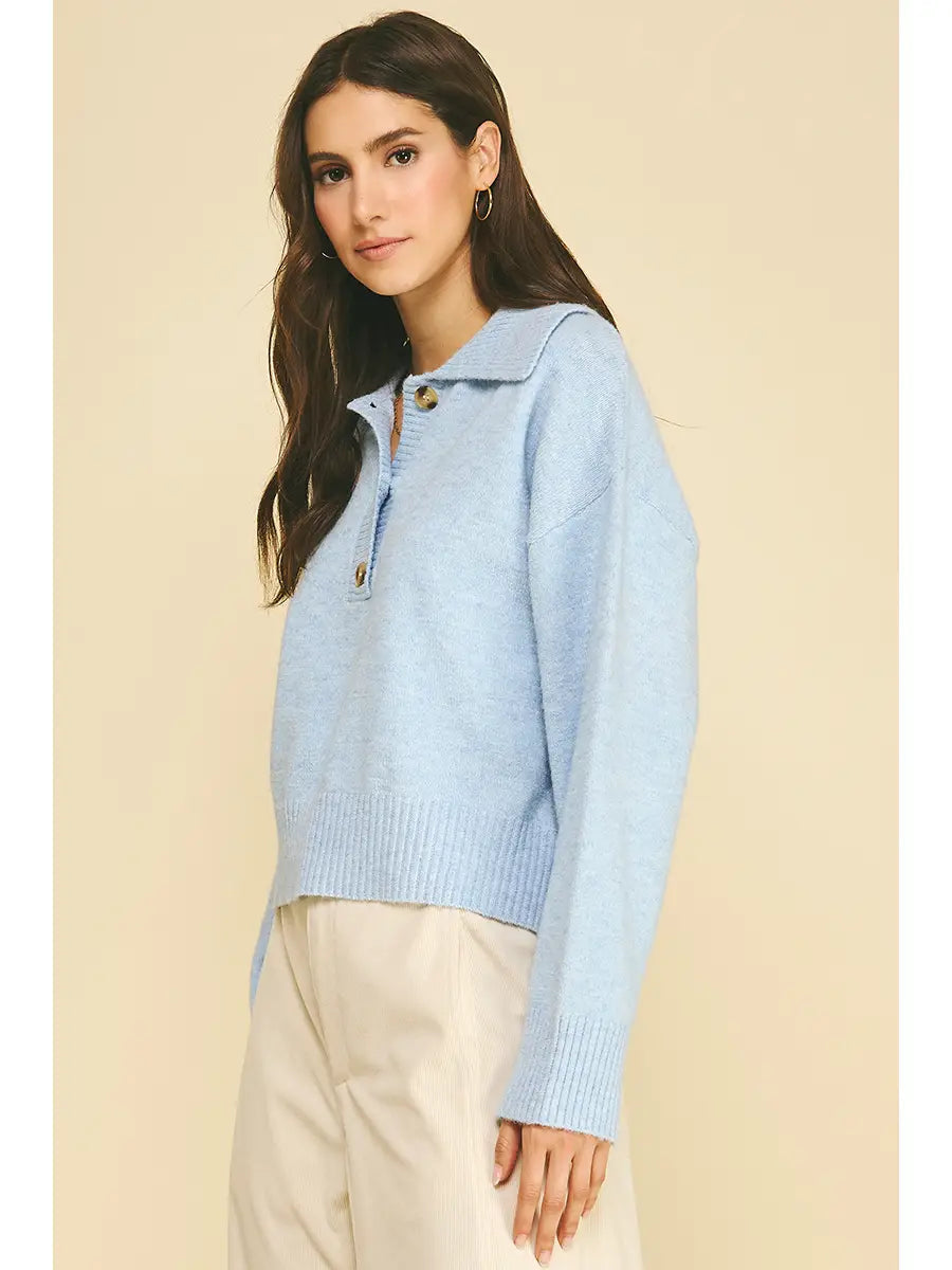 Collared Button Down Sweater Pinch