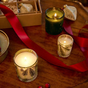 Frasier Fir Pine Needle Votive Candle Thymes