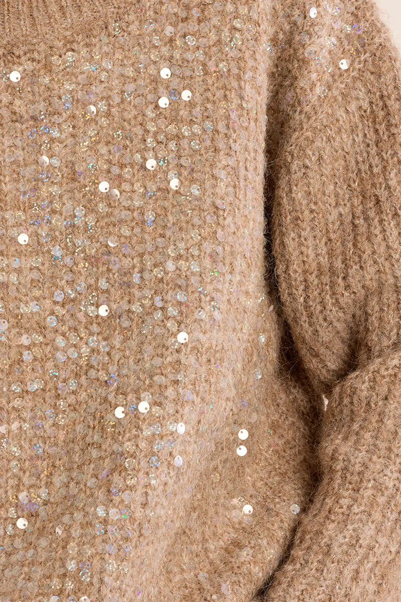 Sarah Sequin Sweater Molly Bracken