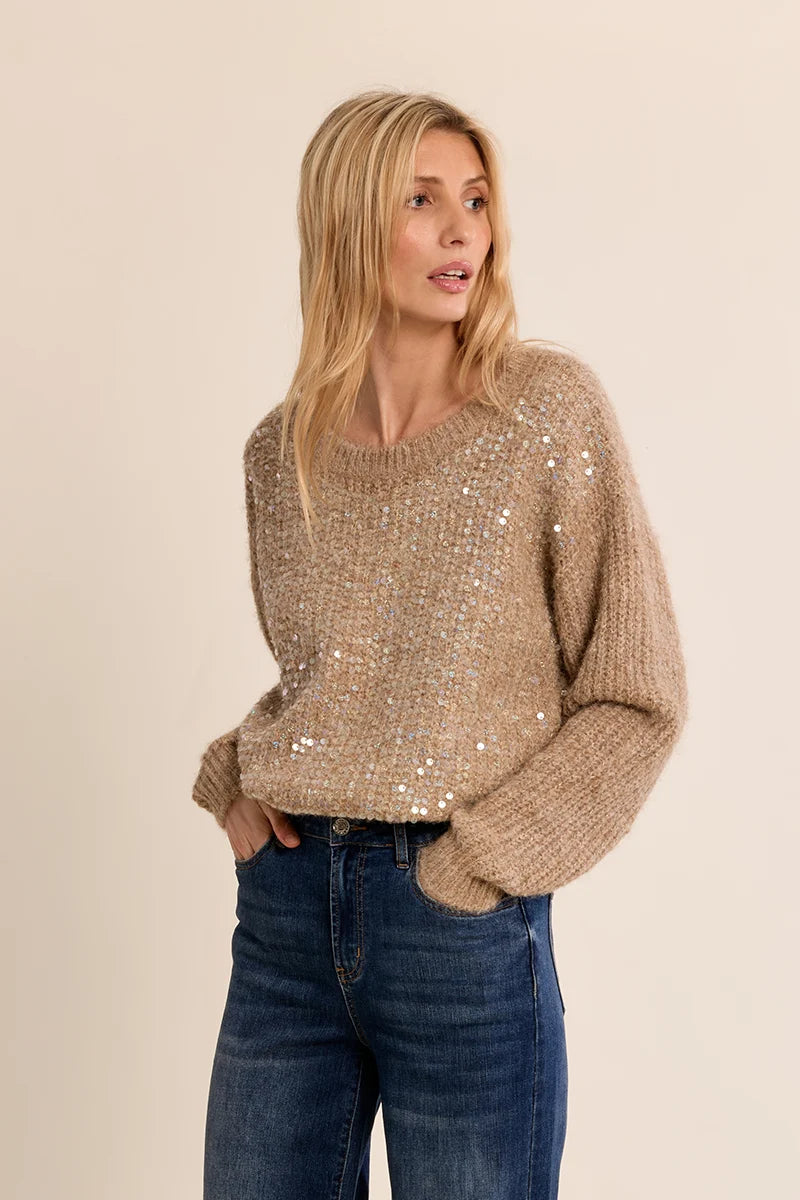 Sarah Sequin Sweater Molly Bracken