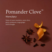 Pomander Clove Poured Candle - 6.1oz | Thymes Thymes