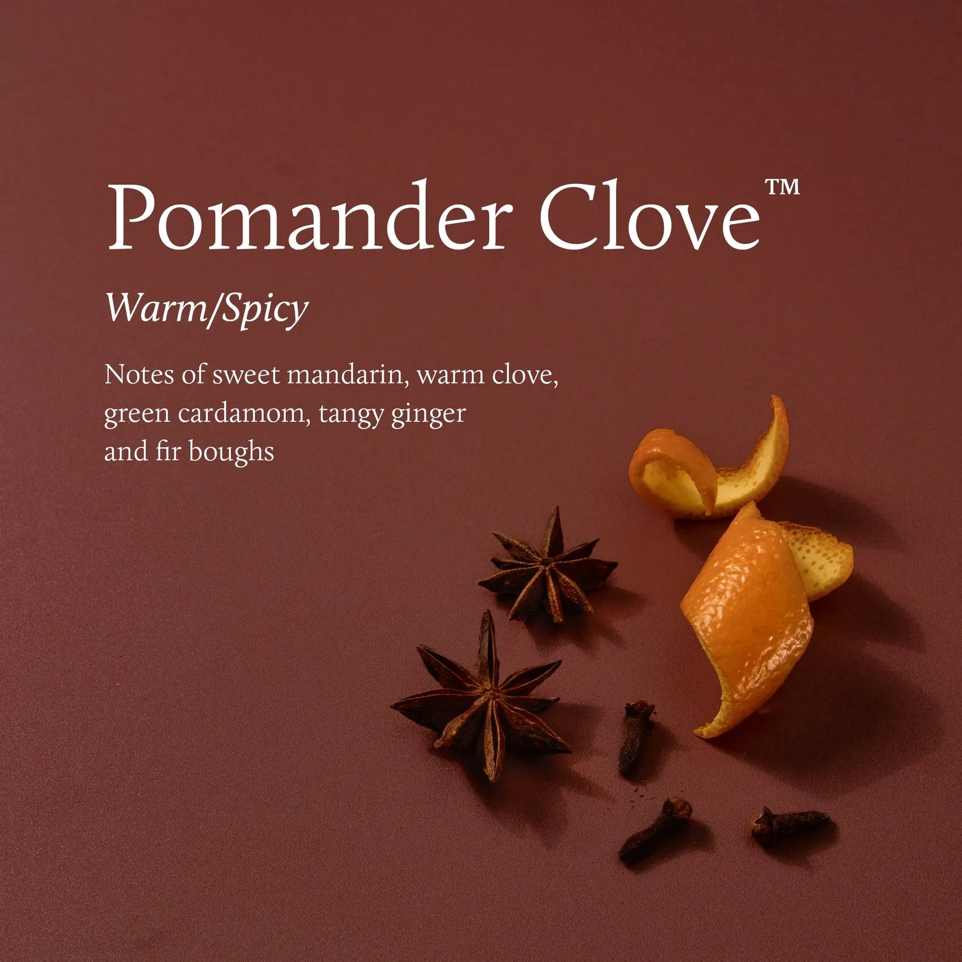 Pomander Clove Poured Candle - 6.1oz | Thymes Thymes