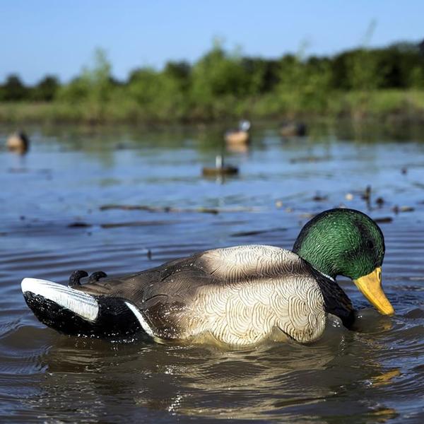 Mallard Rippler